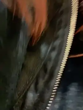 Snapshot of RinaCat chatting on December 24, 8:33 am RinaCat online show from December 24, 8:33 am