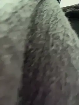 Snapshot of RinaCat chatting on January 6, 5:30 am RinaCat online show from January 6, 5:30 am