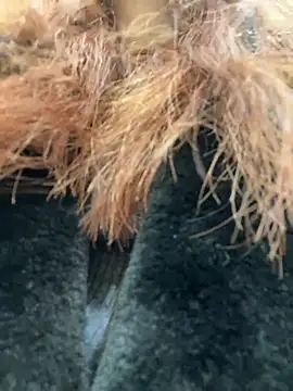 Snapshot of RinaCat chatting on January 9, 5:44 am RinaCat online show from January 9, 5:44 am