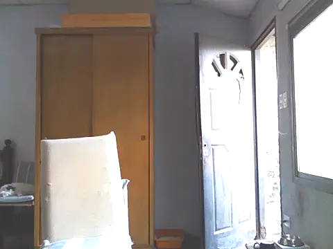 nicedick bro online show from January 19, 10:28 am