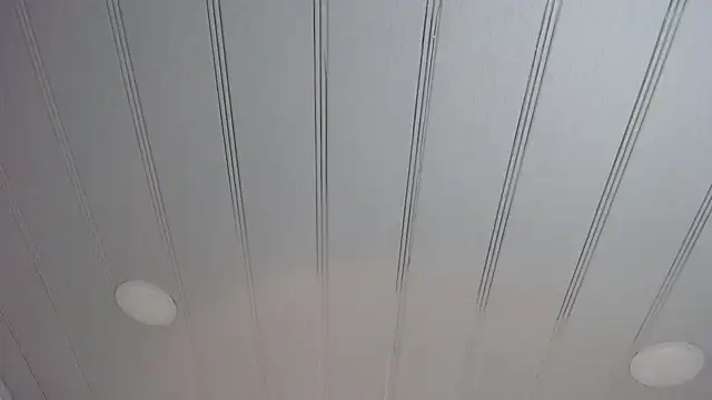 Snapshot of candy_lux_ chatting on February 24, 2:37 pm candy lux online show from February 24, 2:37 pm