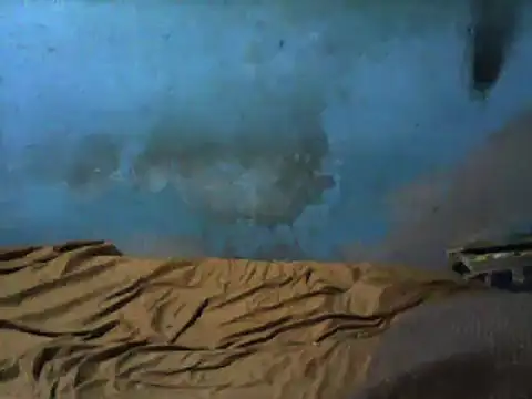 Snapshot of little__joy chatting on March 1, 2:37 am little  joy online show from March 1, 2:37 am