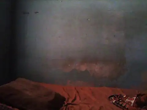 Snapshot of little__joy chatting on November 5, 1:44 pm little joy online show from November 5, 1:44 pm