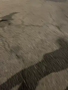 ToAnWTW online show from February 24, 9:57 pm