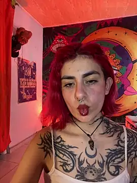  Artemisa X online show from January 26, 11:08 pm