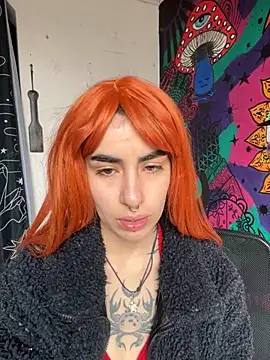  Artemisa X online show from November 5, 1:33 pm