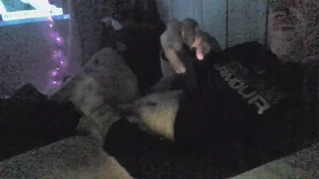 jaxx12369 online show from December 5, 6:55 am