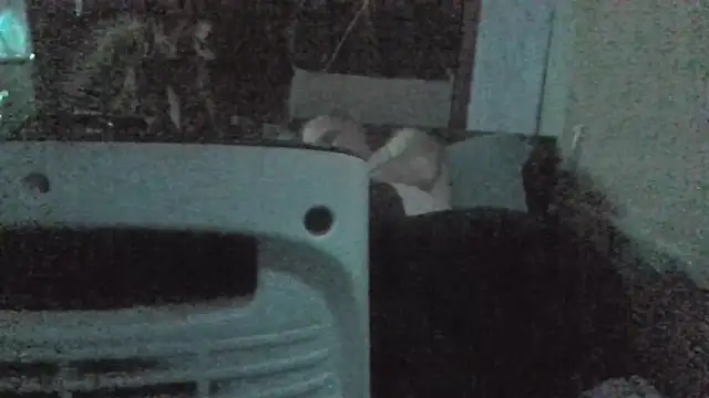 jaxx12369 online show from February 22, 7:01 pm