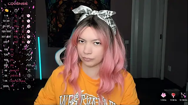 Snapshot of Project_hisoka chatting on November 14, 11:20 am Project hisoka online show from November 14, 11:20 am