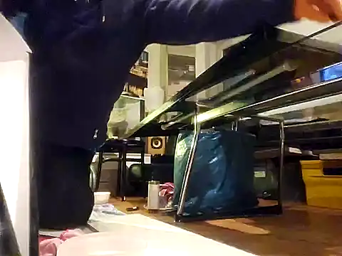 Snapshot of 0815lukas2024 chatting on December 7, 3:25 am 0815lukas2024 online show from December 7, 3:25 am