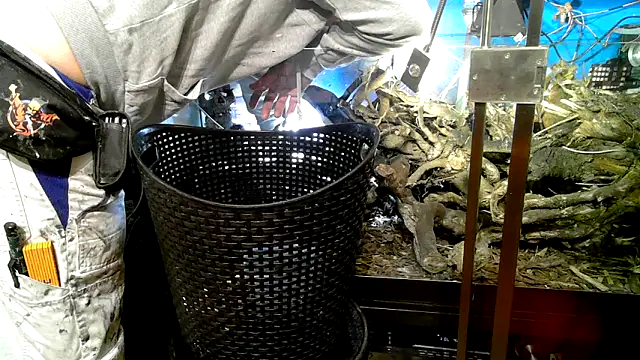 Snapshot of 0815lukas2024 chatting on October 7, 9:23 pm 0815lukas2024 online show from October 7, 9:23 pm