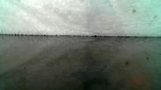 Snapshot of 0815lukas2024 chatting on October 22, 9:03 pm 0815lukas2024 online show from October 22, 9:03 pm