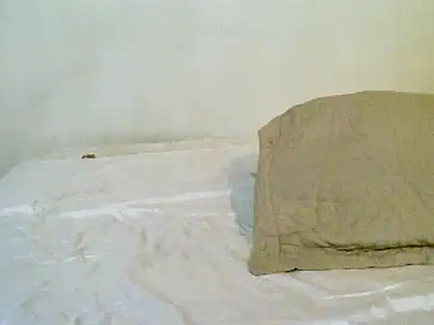 Snapshot of pollarikaaa chatting on November 10, 1:37 am pollarikaaa online show from November 10, 1:37 am