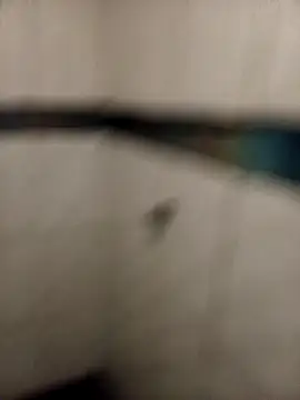 ladygmusic online show from February 6, 8:51 am