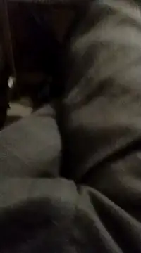 myhot1551 online show from February 15, 4:25 am