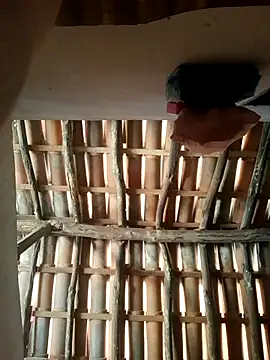 Snapshot of luissilva0071 chatting on February 24, 12:25 pm luissilva0071 online show from February 24, 12:25 pm