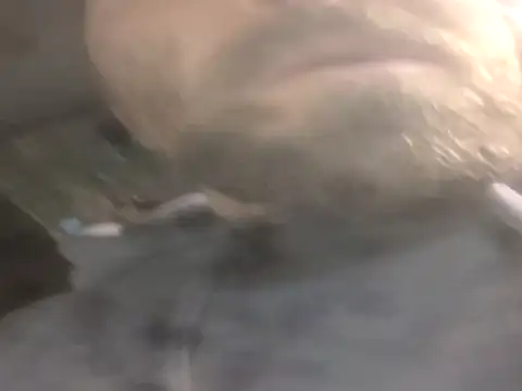 Snapshot of jwiththethickone413 chatting on November 17, 5:52 pm jwiththethickone413 online show from November 17, 5:52 pm