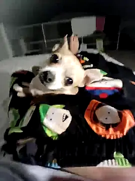 litleboy92 online show from November 15, 1:25 am