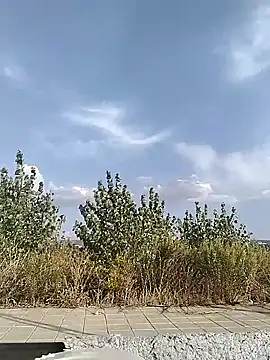 Snapshot of cuplubijoanna chatting on September 20, 4:52 pm cuplubijoanna online show from September 20, 4:52 pm