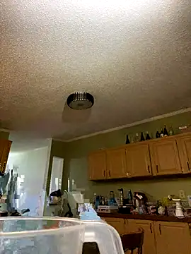 Snapshot of velvetta_ chatting on December 17, 4:51 am velvetta online show from December 17, 4:51 am