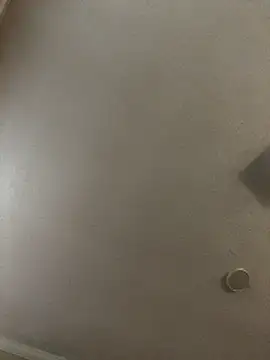 Snapshot of velvetta_ chatting on December 18, 1:06 pm velvetta online show from December 18, 1:06 pm