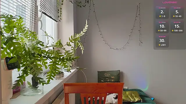 monlight  dana online show from January 27, 11:54 am