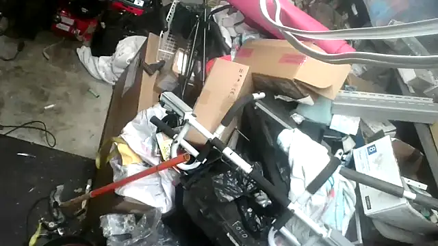 tongueispowerr6d9 online show from January 16, 5:42 am