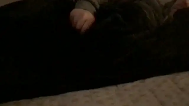 Rock Pierce online show from February 28, 1:23 pm