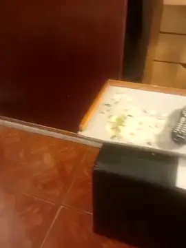 jmliimonsito online show from April 3, 11:36 pm