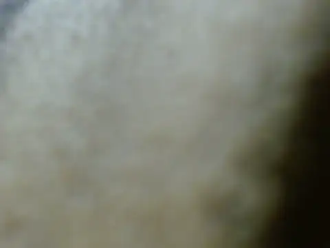 silky milky online show from October 27, 7:29 pm