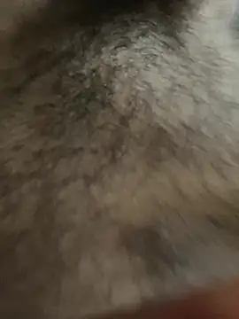 legendcock123 online show from February 18, 11:17 am