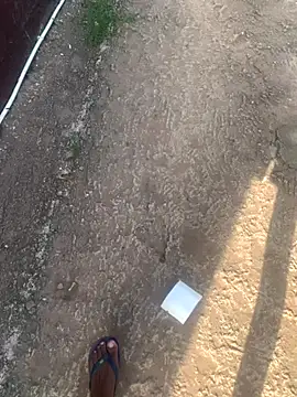 Snapshot of DManL chatting on November 13, 4:44 am DManL online show from November 13, 4:44 am