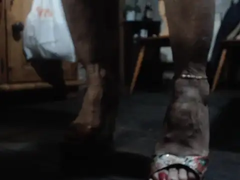 eva2023sexy online show from February 5, 9:08 pm