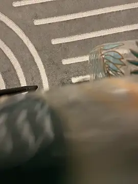 Snapshot of dimitriei chatting on November 15, 6:22 am dimitriei online show from November 15, 6:22 am