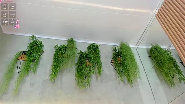 Lana Lann online show from January 11, 6:01 pm