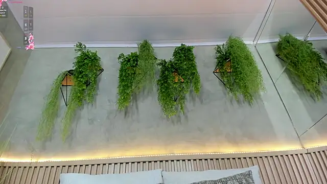 Lana Lann online show from February 5, 12:38 pm