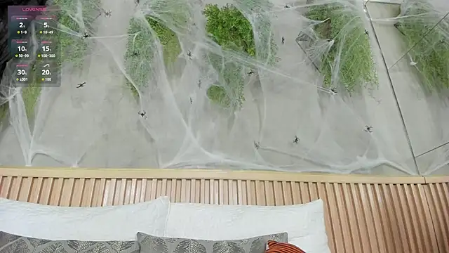 Lana Lann online show from November 1, 11:56 am