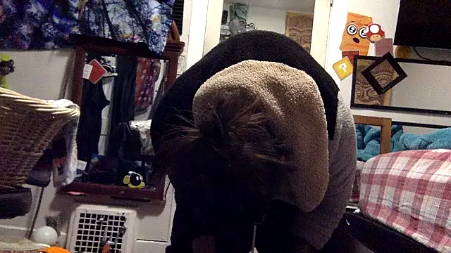 Robriguezxxx online show from March 22, 5:39 am