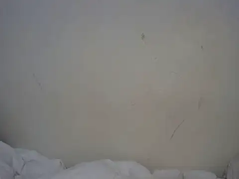 ebony curvedass online show from September 10, 2:06 pm