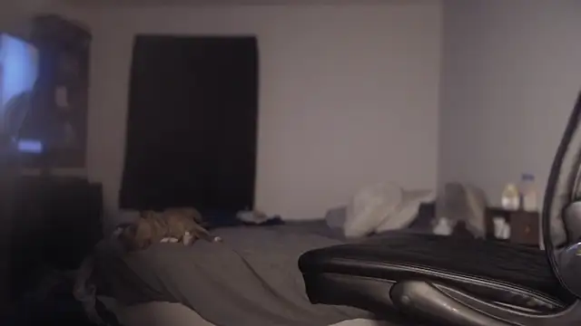 Snapshot of flexingplexico chatting on March 1, 11:17 am flexingplexico online show from March 1, 11:17 am