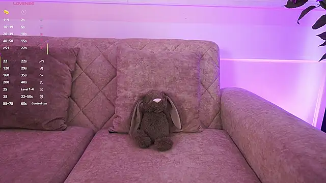 Anybuny online show from February 5, 2:43 pm