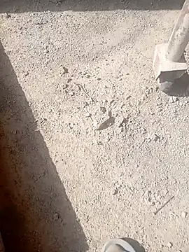 Snapshot of Kurtsikici@xh chatting on October 21, 9:32 am Kurtsikicixh online show from October 21, 9:32 am