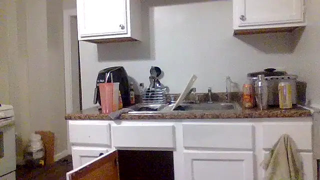 AllLeggs online show from December 31, 11:09 am