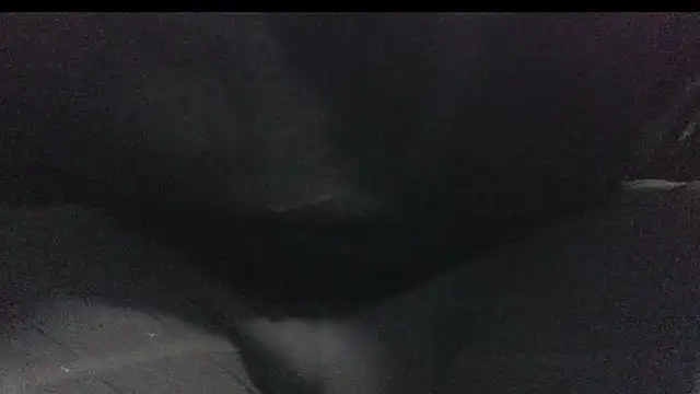 Snapshot of robeaulieu02 chatting on February 23, 6:17 am robeaulieu02 online show from February 23, 6:17 am