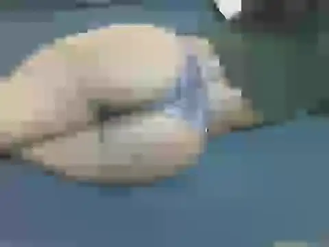 Snapshot of lella-0 chatting on October 16, 9:38 pm lella-0 online show from October 16, 9:38 pm