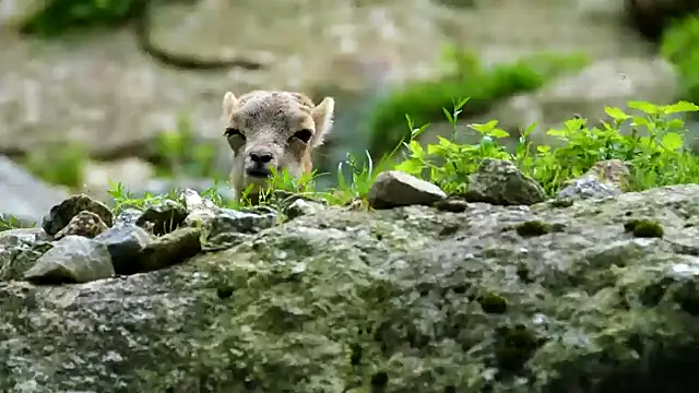 Snapshot of streamy_test11 chatting on February 3, 12:03 pm streamy test11 online show from February 3, 12:03 pm