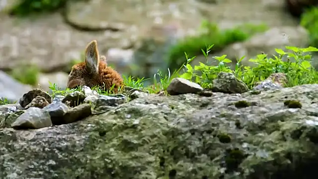 Snapshot of streamy_test11 chatting on March 14, 8:32 am streamy test11 online show from March 14, 8:32 am