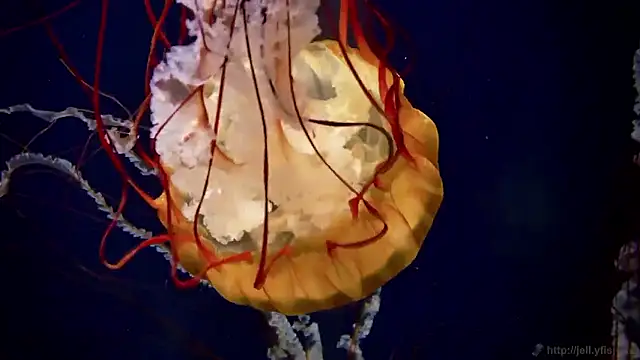 Snapshot of streamy_test15 chatting on October 2, 8:43 am streamy test15 online show from October 2, 8:43 am