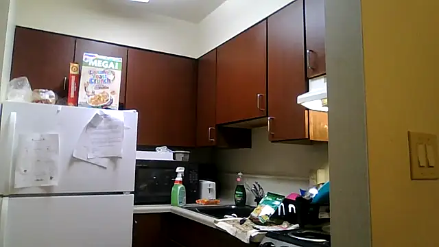 Snapshot of DreamvilleINC chatting on November 2, 11:51 pm DreamvilleINC online show from November 2, 11:51 pm