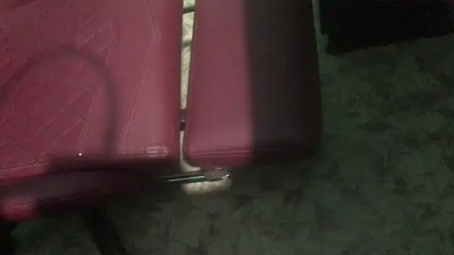 telugu boy  online show from February 7, 1:11 pm